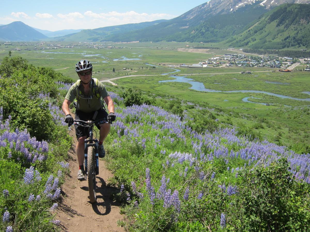 Purple Mountain Bed & Breakfast & Spa Crested Butte Exterior photo